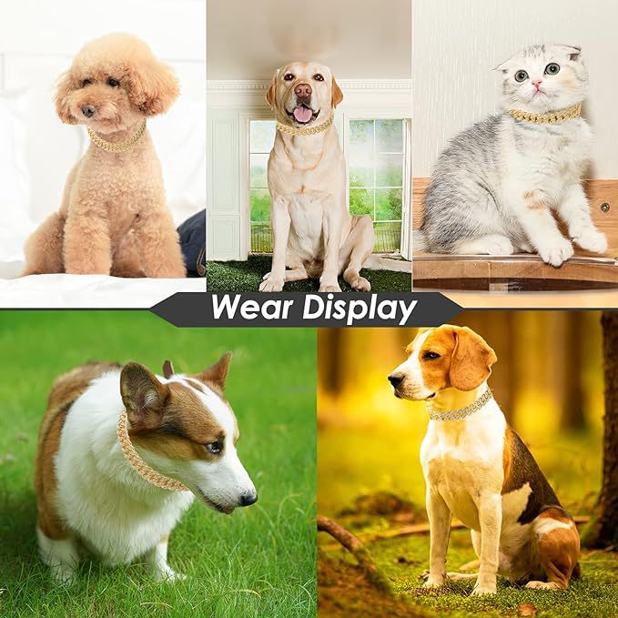 Cuban Chain Pet Collar for Glamorous Photo Moments