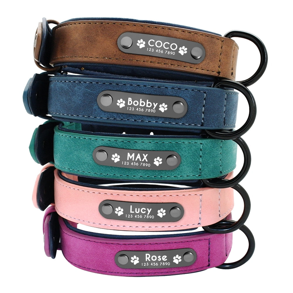 Personalized Dog Collar & Matching Leash Set for Walks