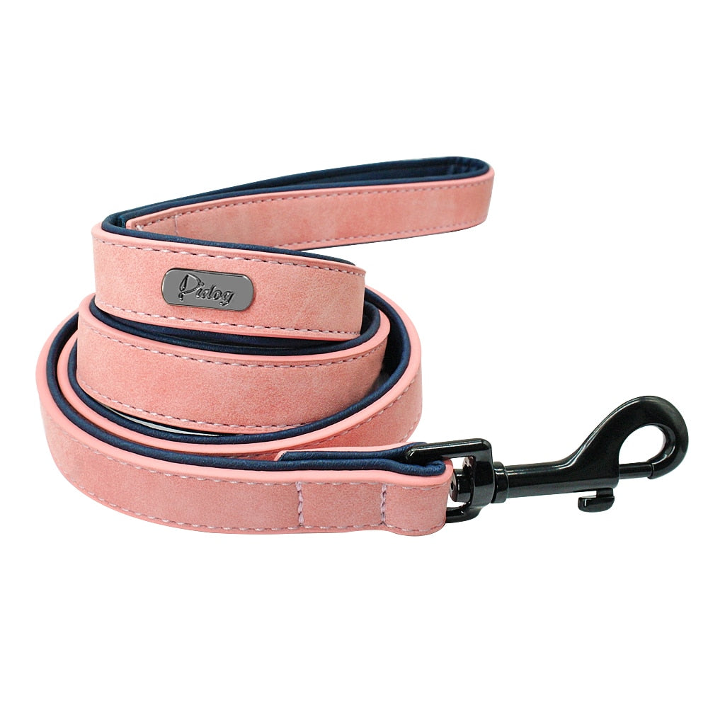 Personalized Dog Collar & Matching Leash Set for Walks