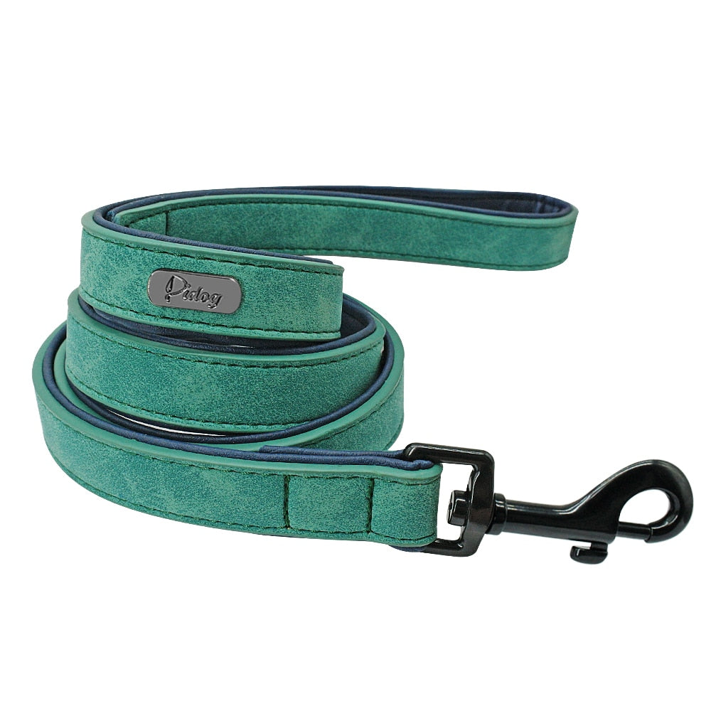 Personalized Dog Collar & Matching Leash Set for Walks