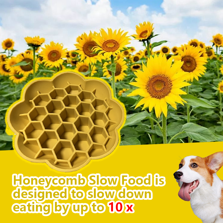 Slow Feeder Dog Bowl for Calm, Happier Mealtimes