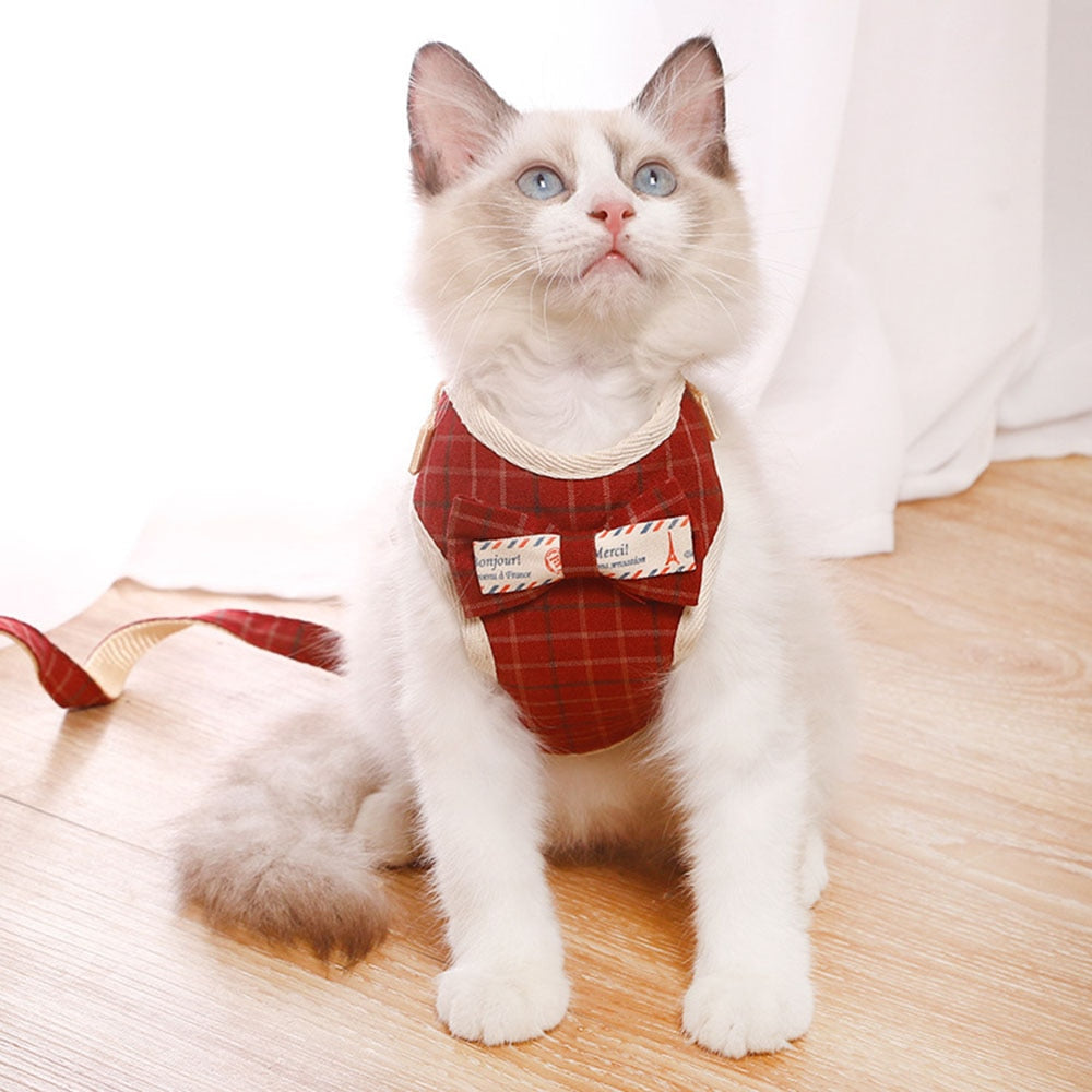Small Pet Harness and Leash Set for Stylish Walks