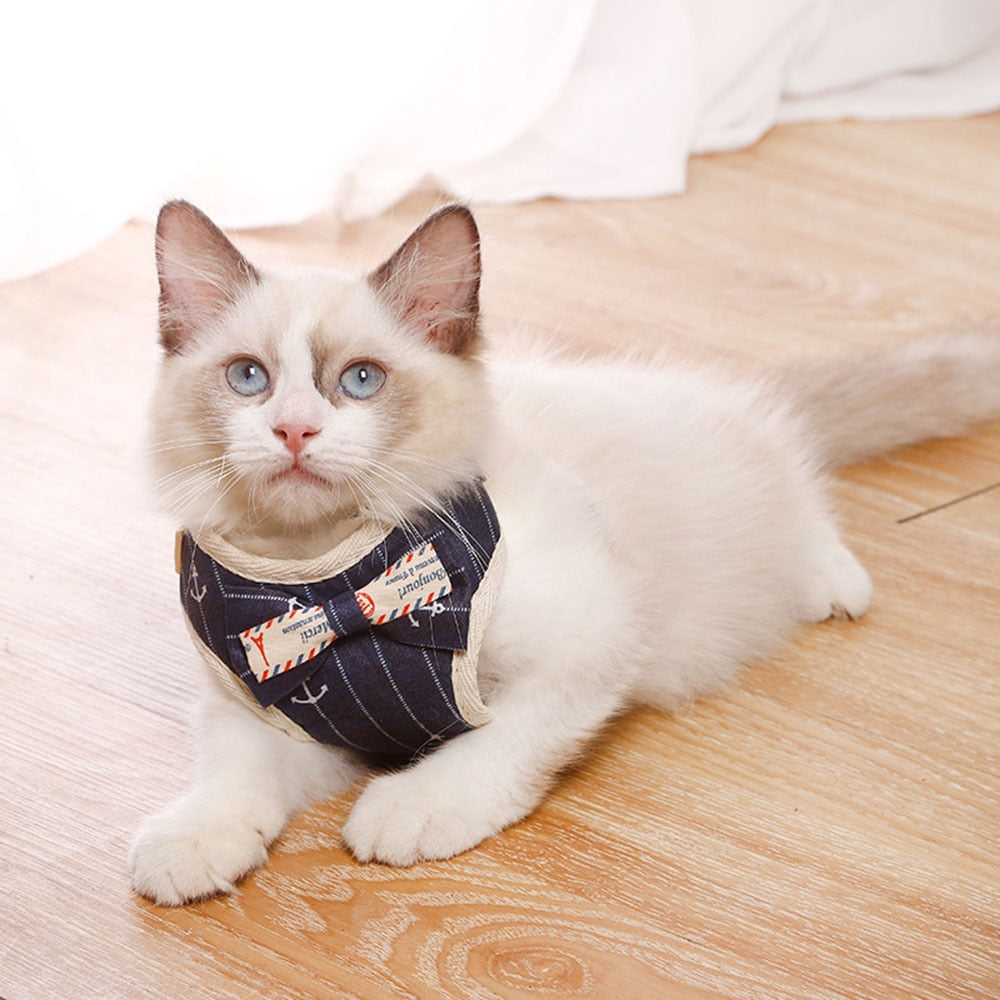 Small Pet Harness and Leash Set for Stylish Walks
