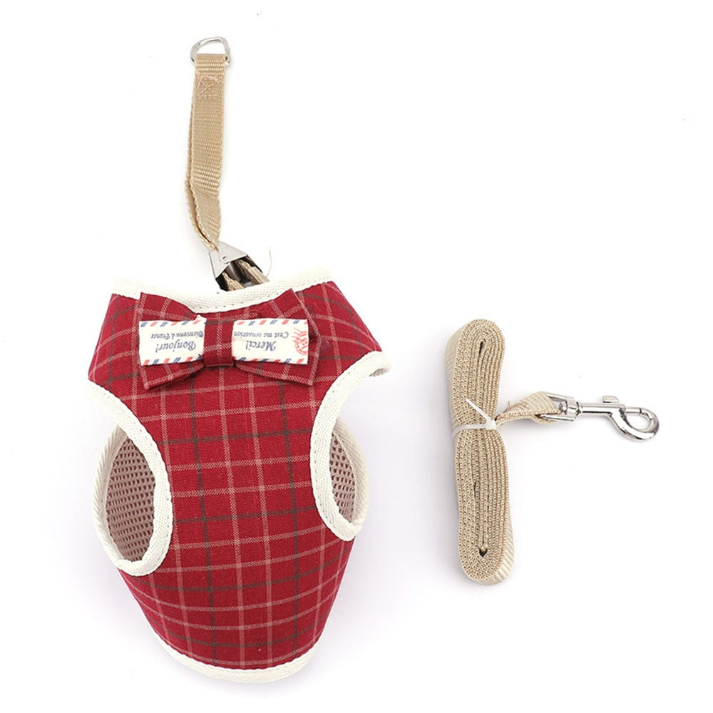Small Pet Harness and Leash Set for Stylish Walks