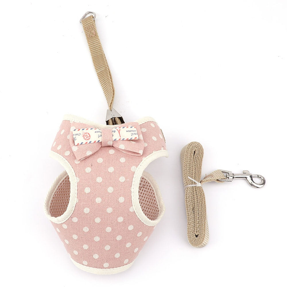 Small Pet Harness and Leash Set for Stylish Walks