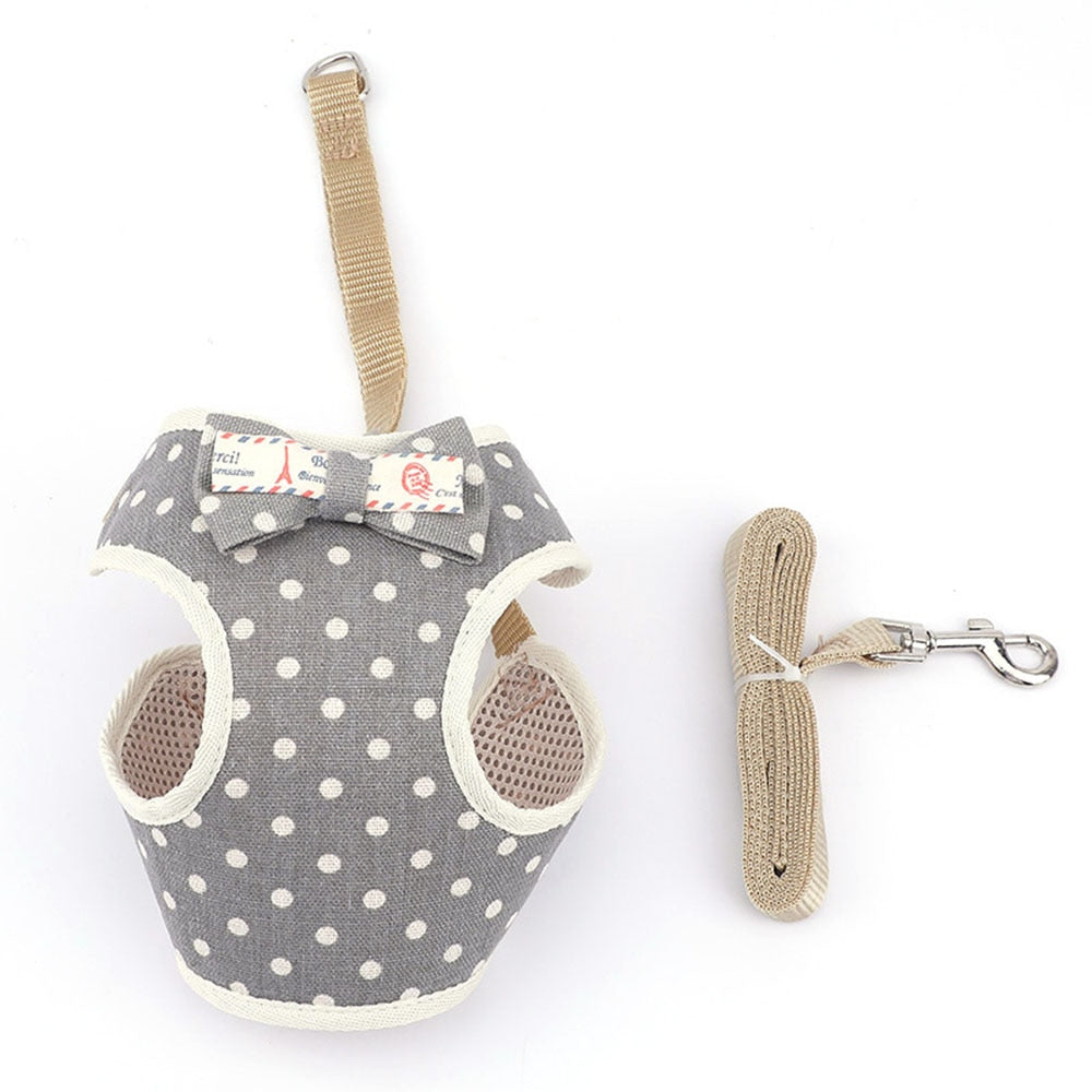 Small Pet Harness and Leash Set for Stylish Walks