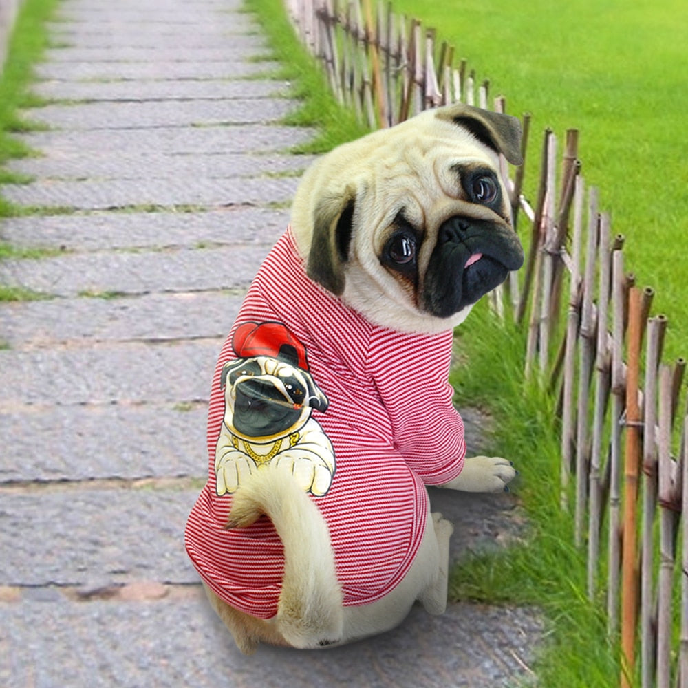Small Dog Shirts for Stylish, Cozy Everyday Pet Wear