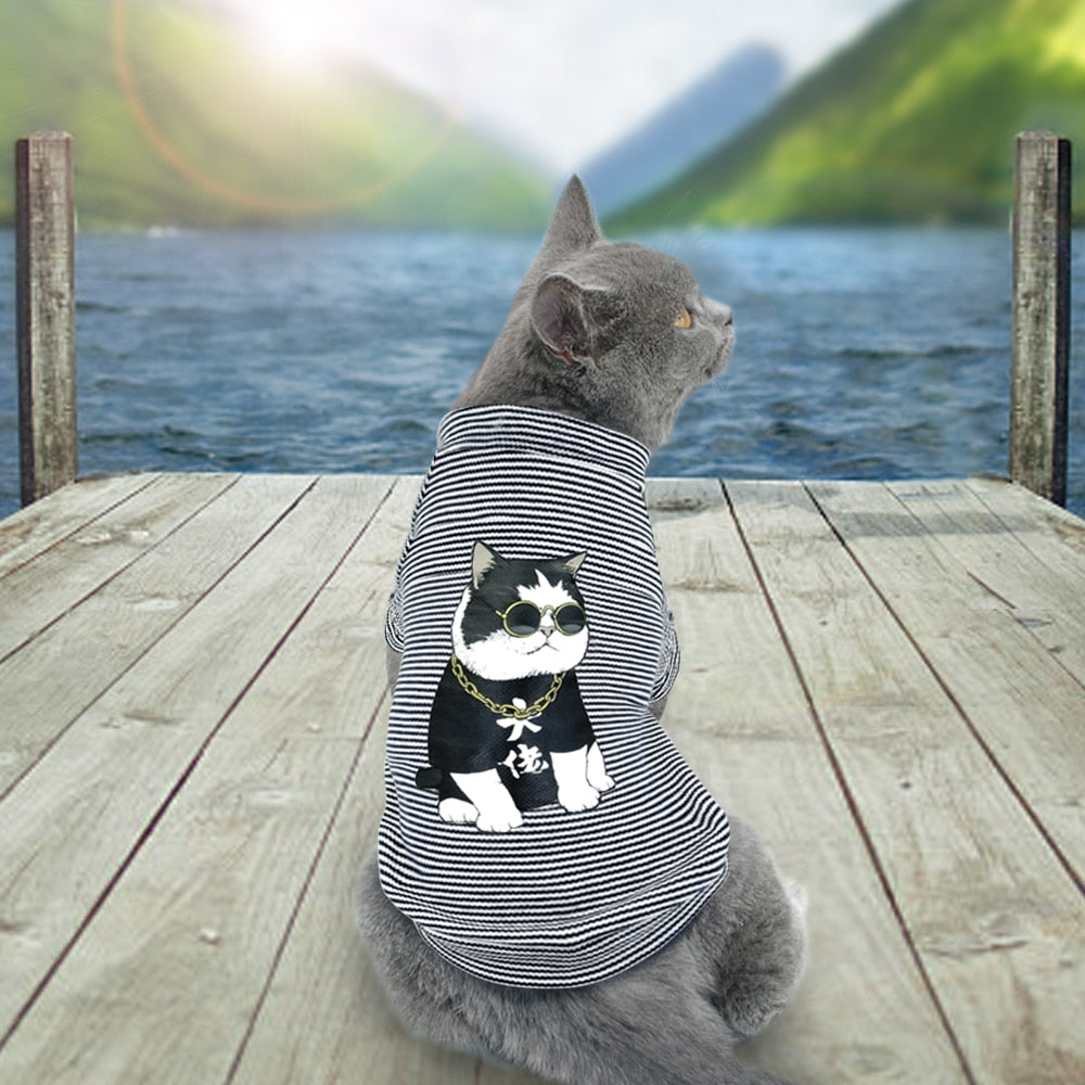 Small Dog Shirts for Stylish, Cozy Everyday Pet Wear