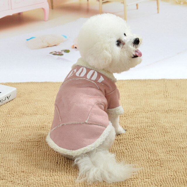 Small Dog Winter Jacket | Warm Fleece Comfort Coat