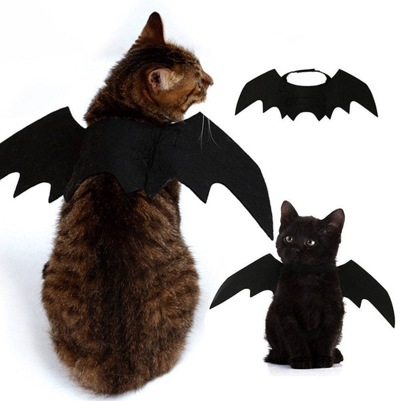 Cat Bat Wings Costume – Adjustable Halloween Accessory