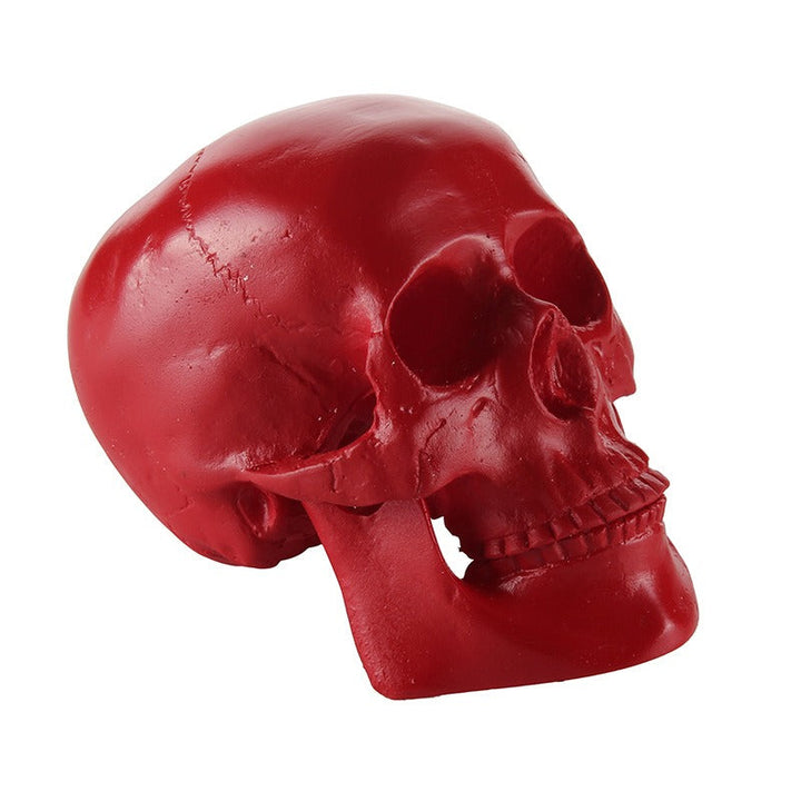 Deep Red Anatomical Skull Ornament for Gothic Décor