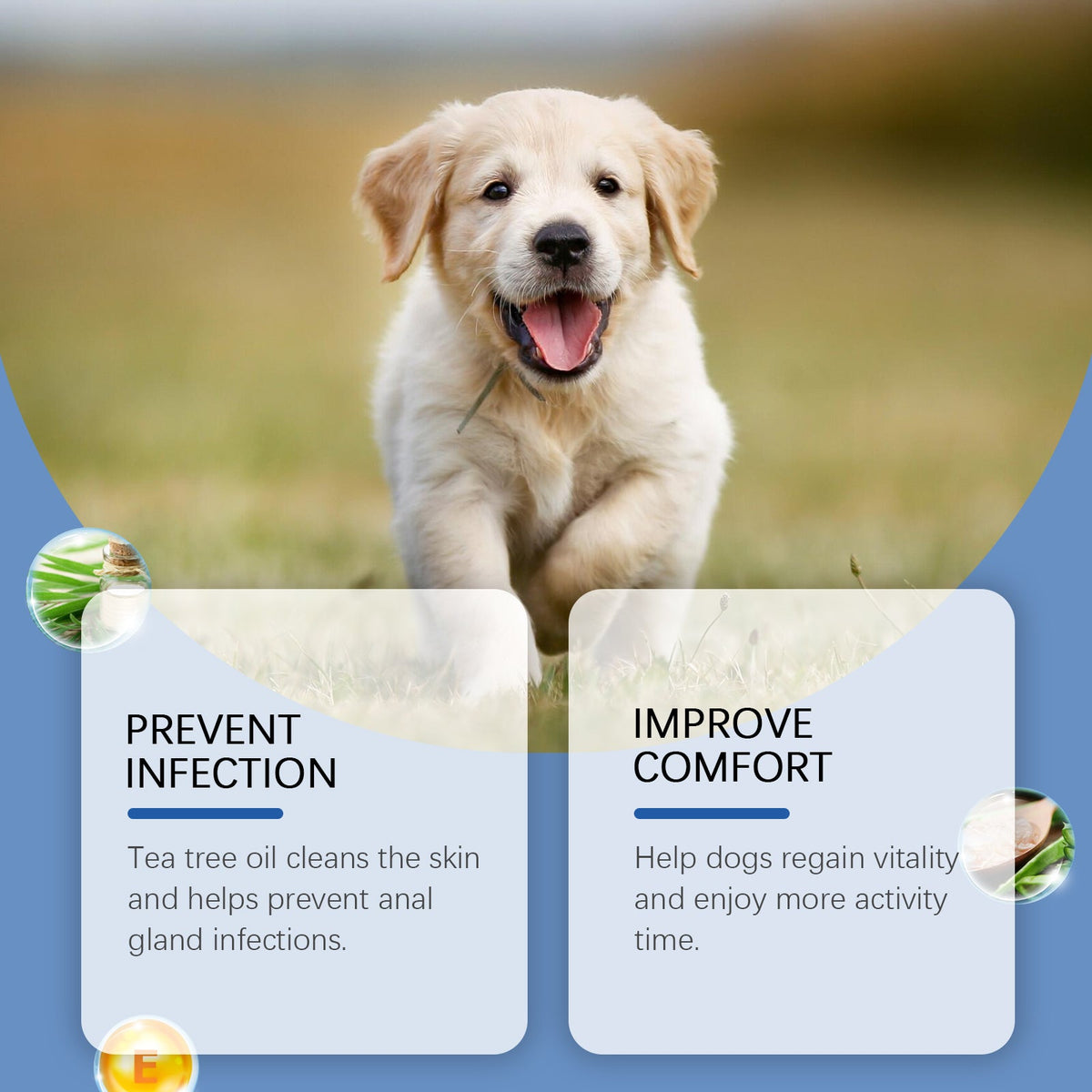 Dog Anal Gland Odor Spray for Fresh Daily Hygiene
