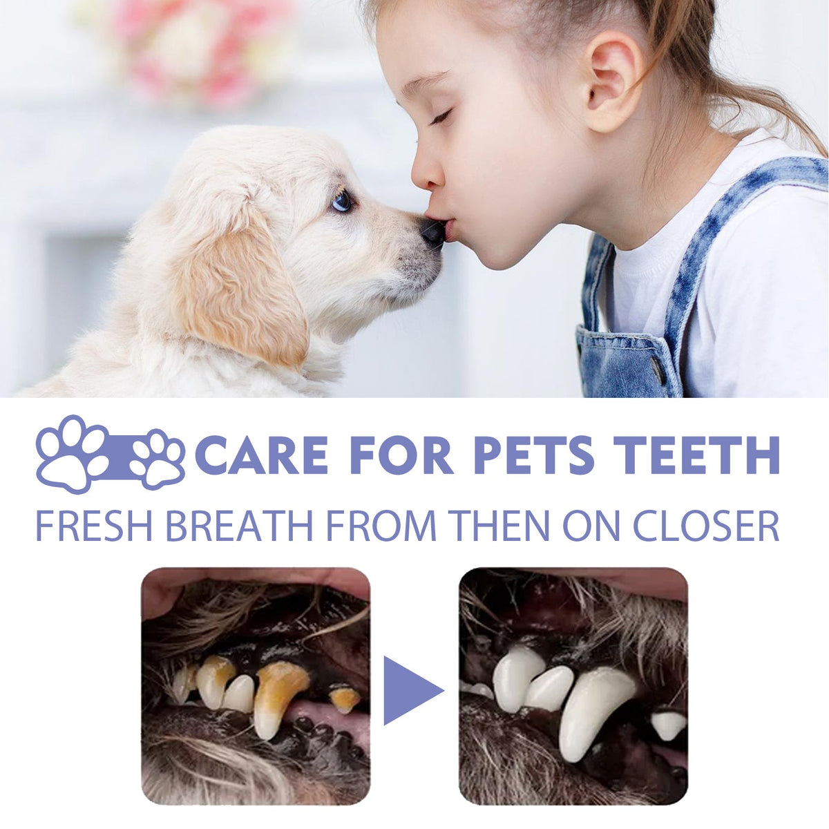 Pet Dental Spray for Fresher Breath & Cleaner Teeth