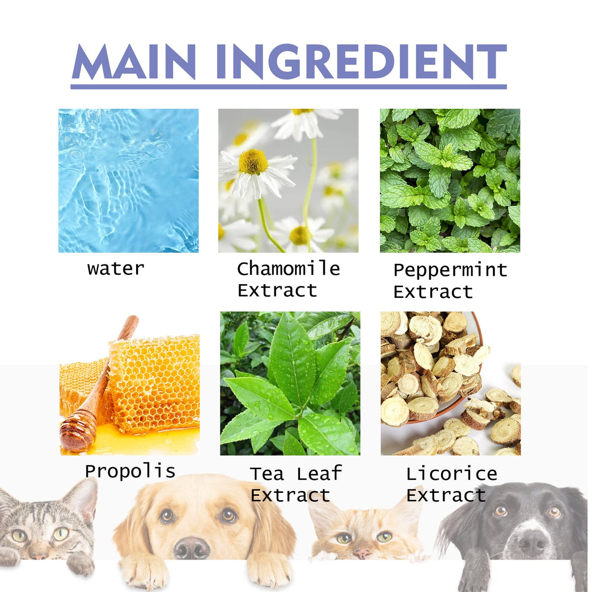 Pet Dental Spray for Fresher Breath & Cleaner Teeth
