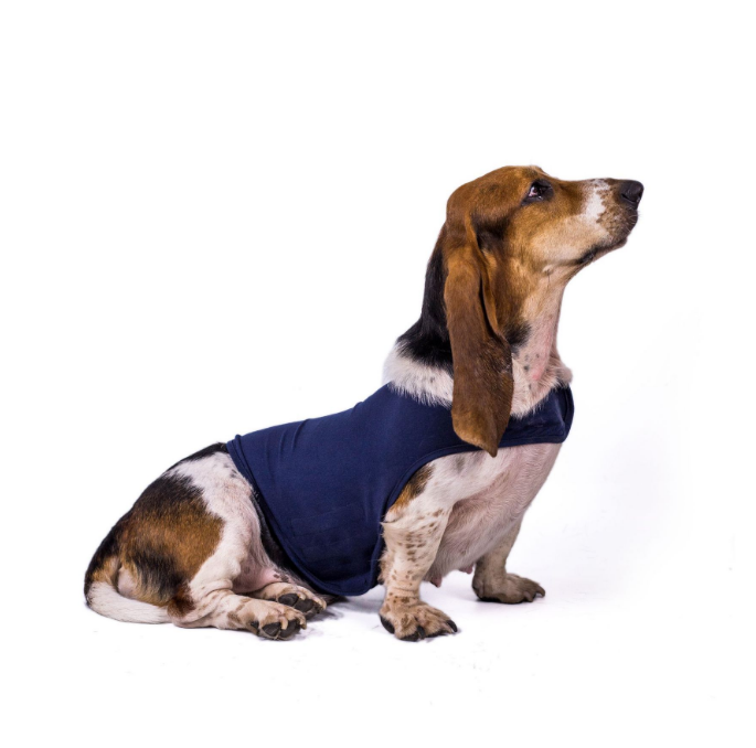 Dog Anxiety Vest for Gentle Pressure and Calmer Routines