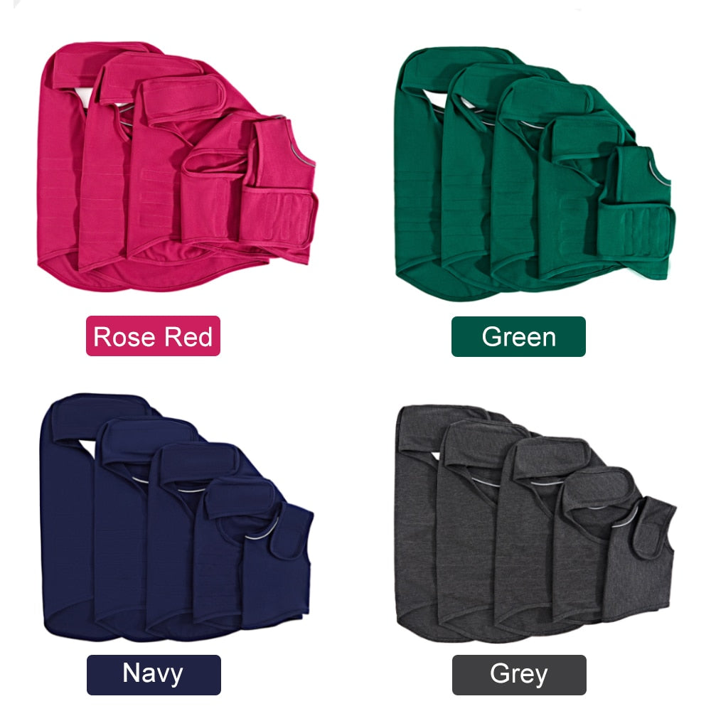 Dog Anxiety Vest for Gentle Pressure and Calmer Routines
