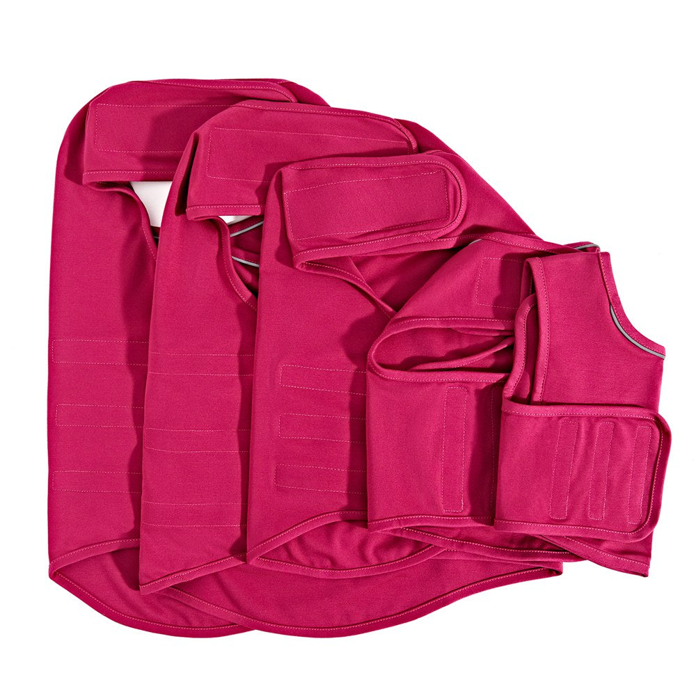 Dog Anxiety Vest for Gentle Pressure and Calmer Routines