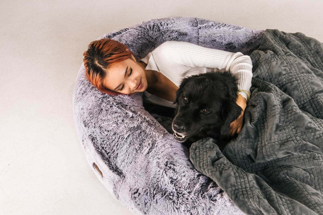 Giant Dog Bed for Cuddling and Lounging Together
