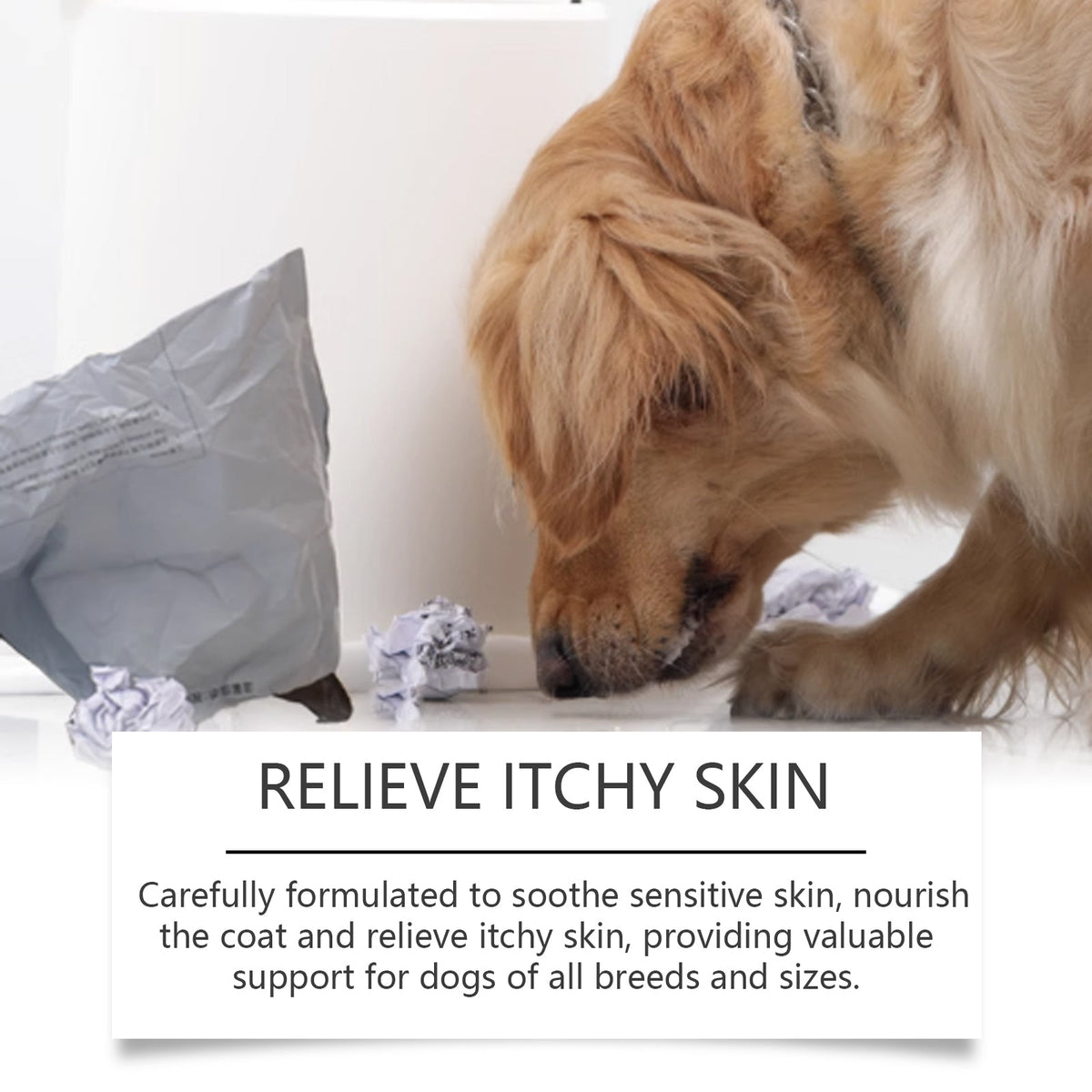 Dog Allergy Support Drops for Skin & Immune Health