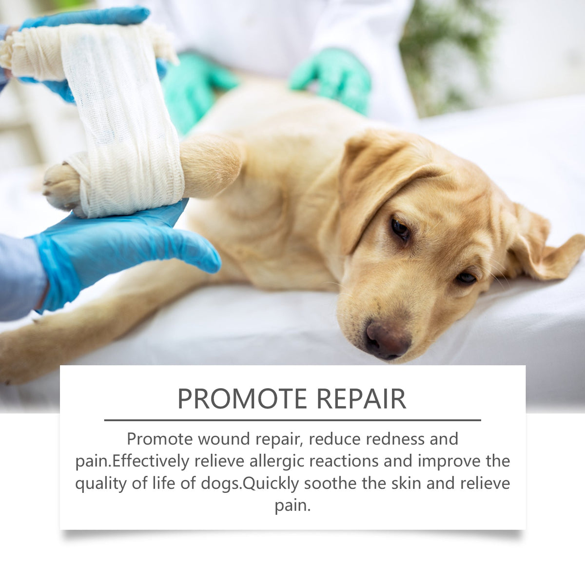 Dog Care Spray for Itch Relief and Wound Soothing