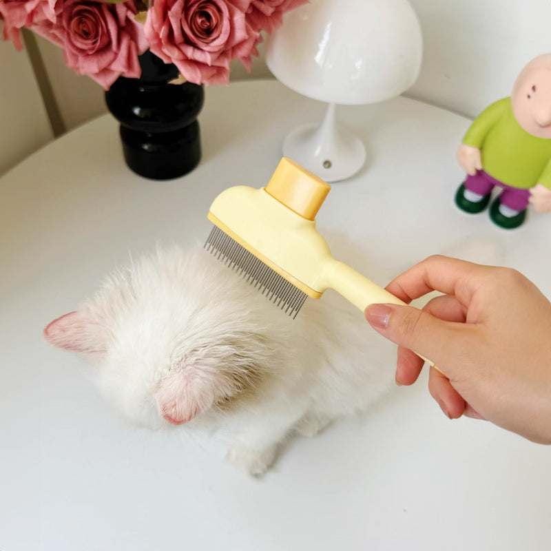 Self-Cleaning Dog & Cat Grooming Brush with Massage