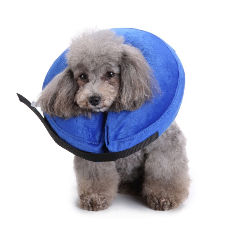 Inflatable Pet Recovery Collar for Wound Protection
