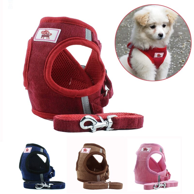 Reflective Dog Harness Leash Set for Safer Daily Walks