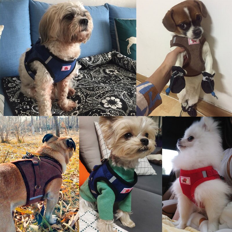 Reflective Dog Harness Leash Set for Safer Daily Walks