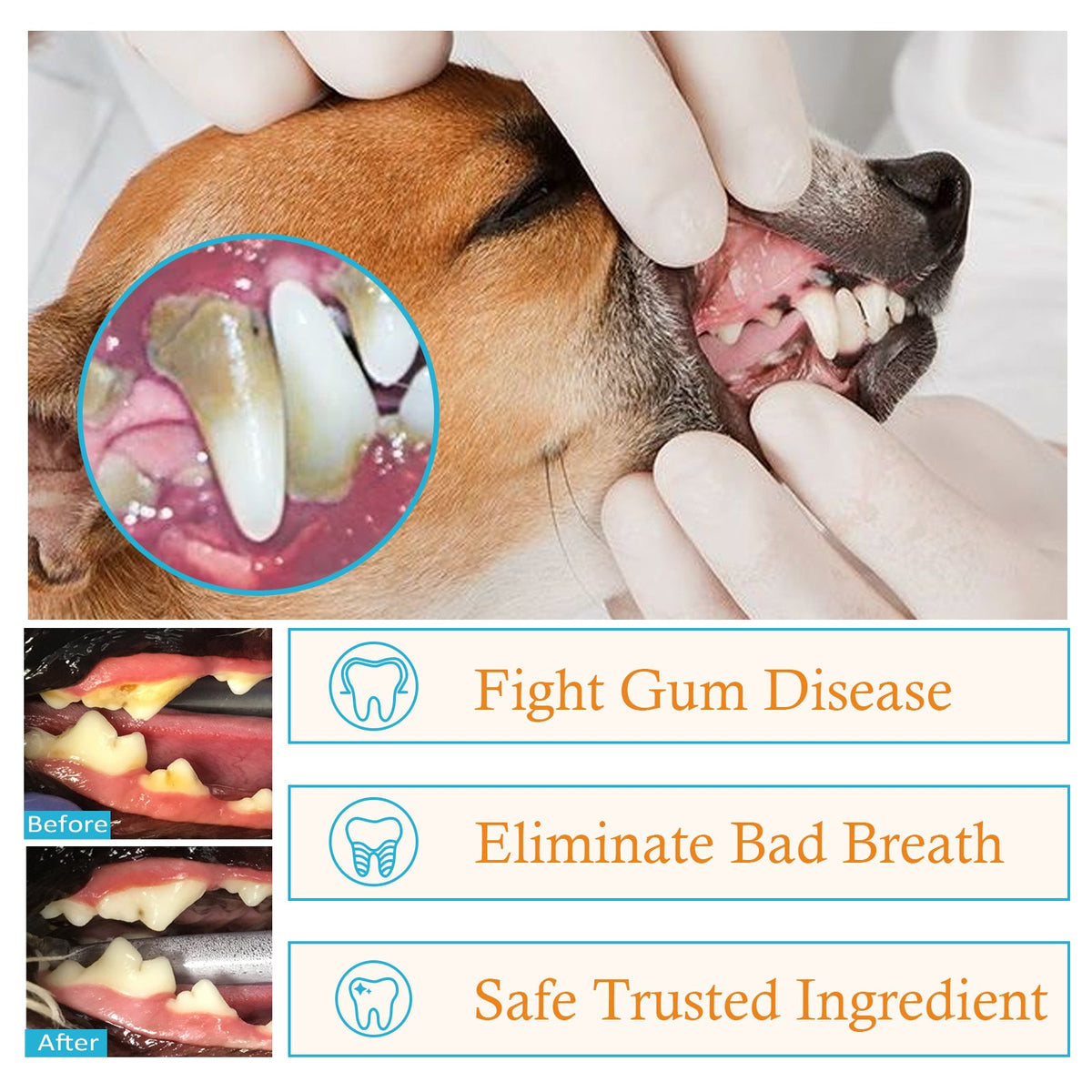 Pet Dental Finger Pads for Fresh Breath & Clean Teeth