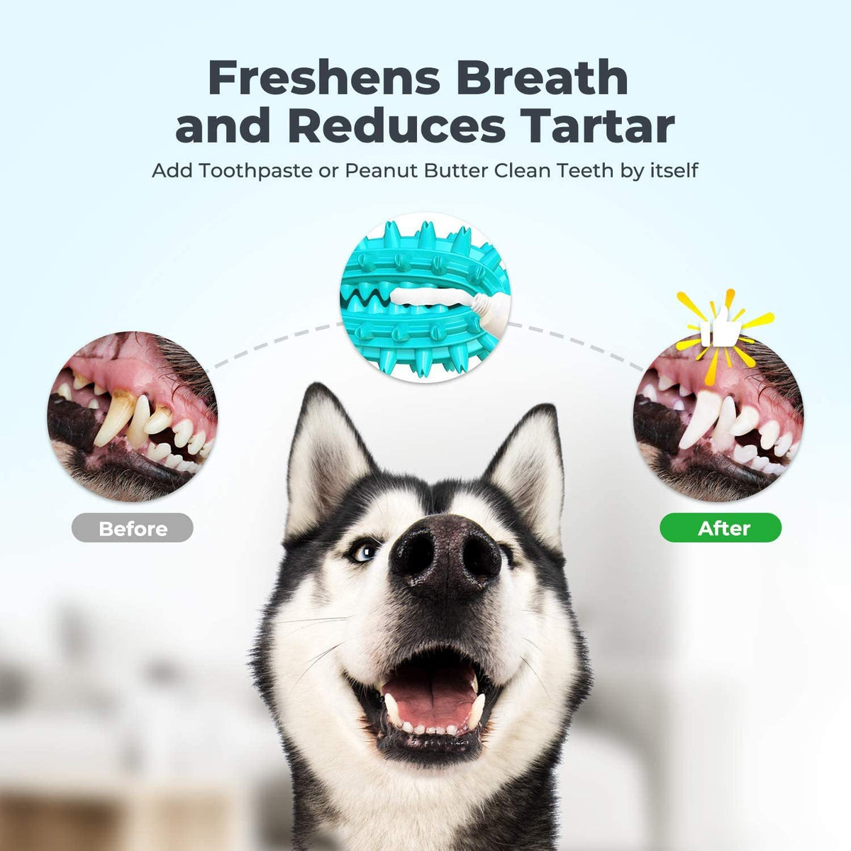 Dog Chew Toy with Treat Channel for Dental Enrichment