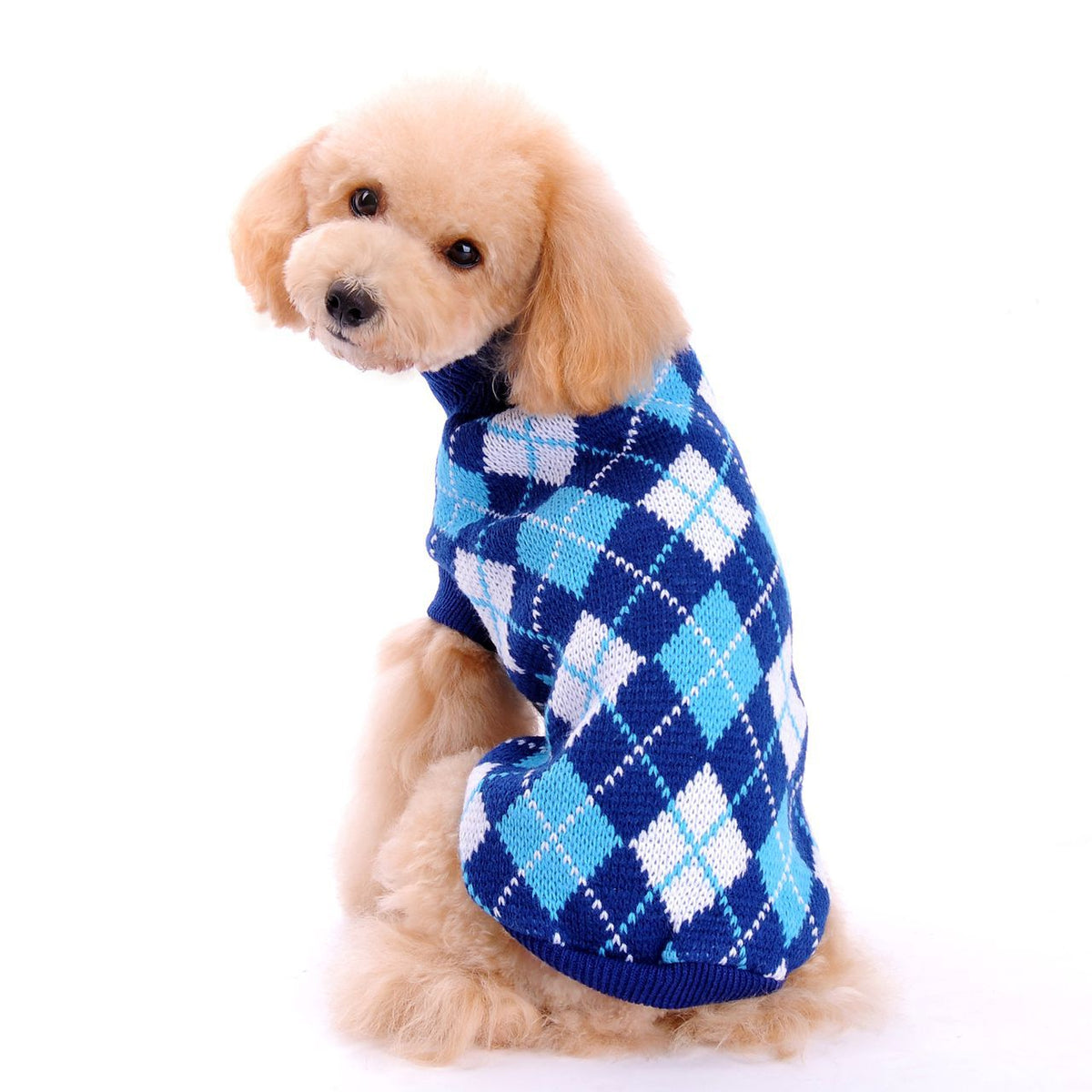 Small Dog Sweater for Cozy, Stylish Winter Walks