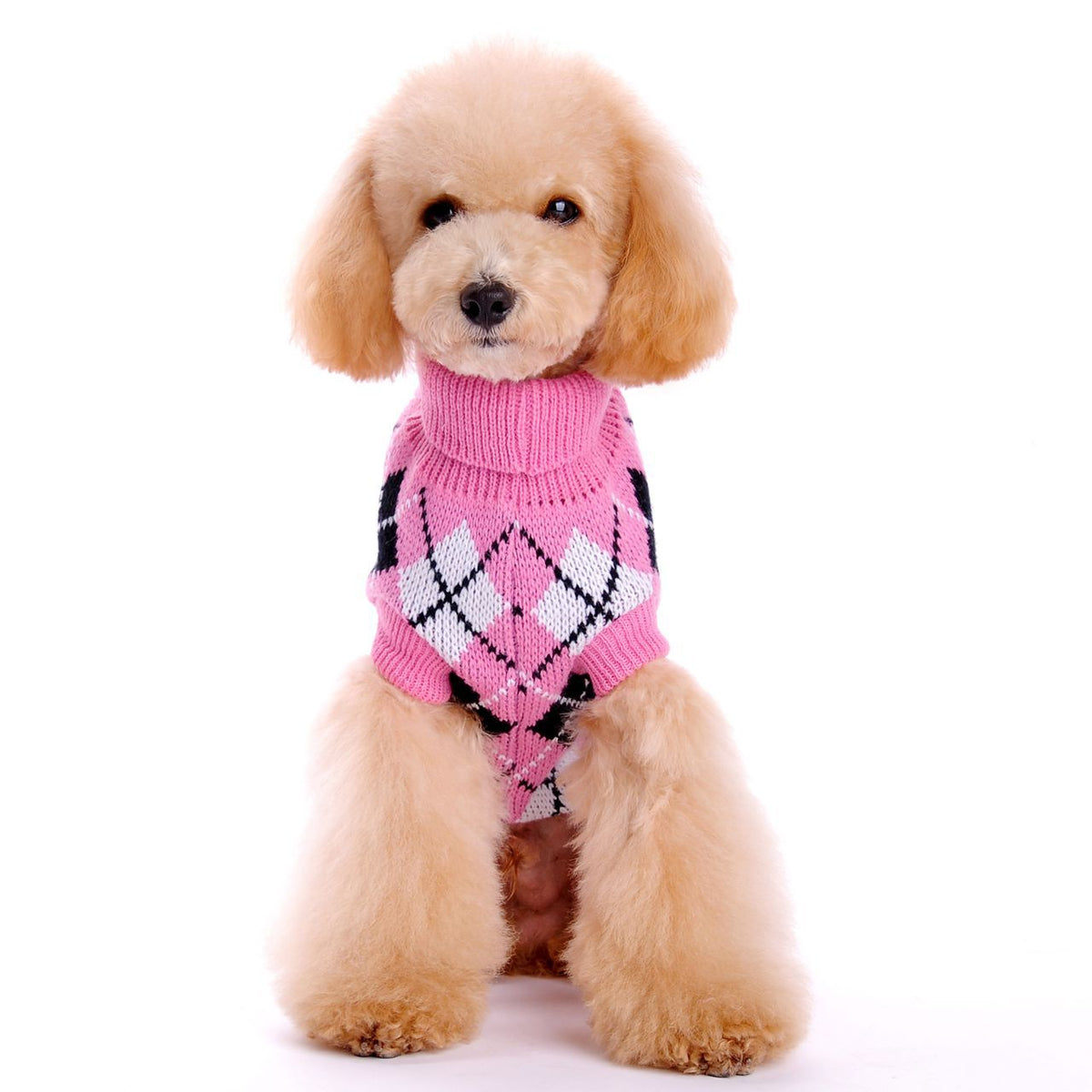 Small Dog Sweater for Cozy, Stylish Winter Walks