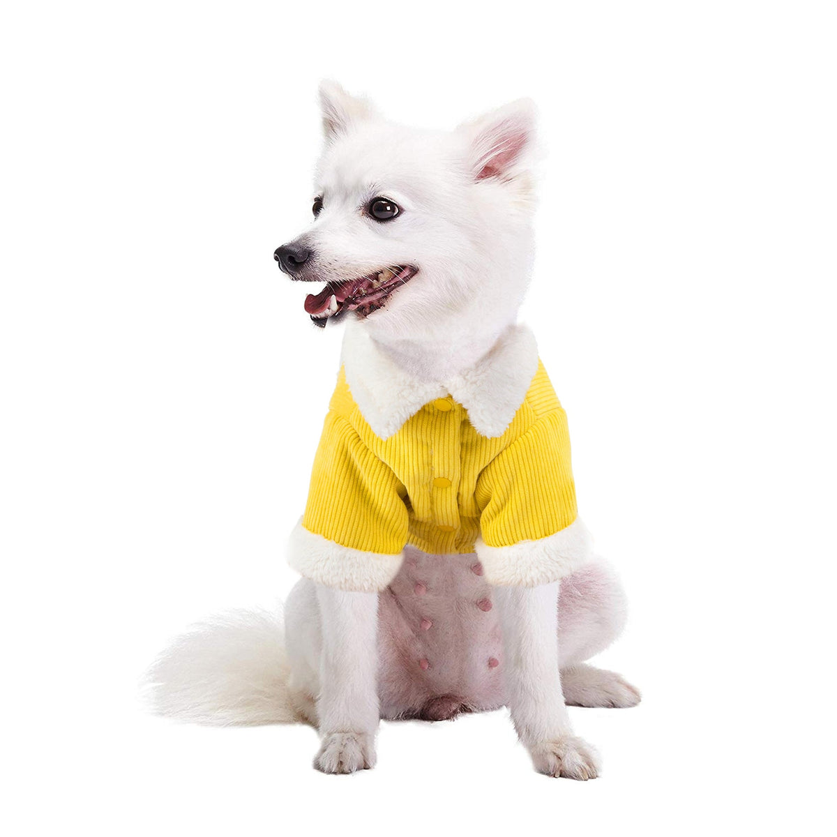Dog Winter Coat Double-Layer Warm Corduroy Pet Outfit