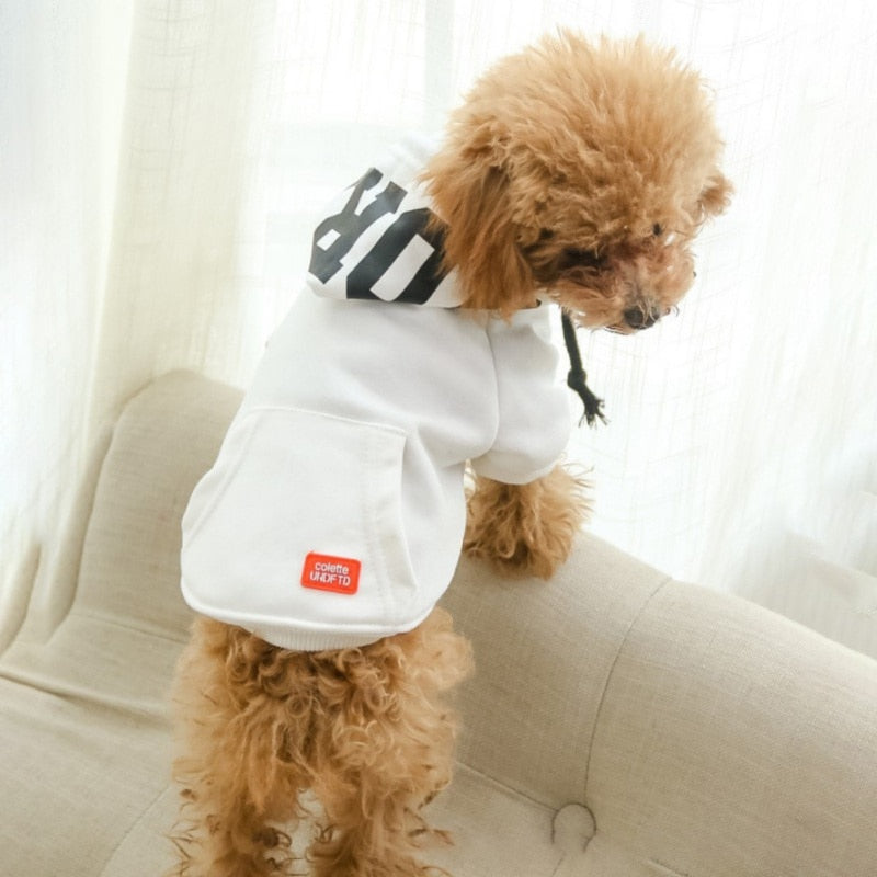 Small Dog Hoodie Coat for Warm, Stylish Outdoor Walks