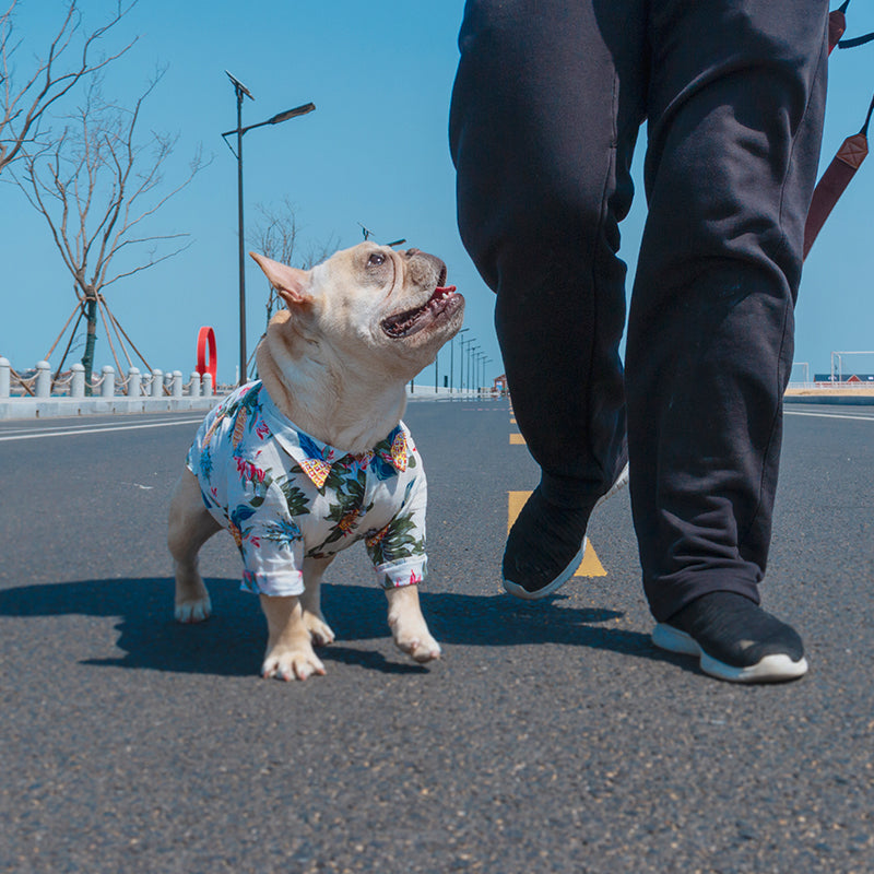 Small Dog Tropical Shirt for Stylish Summer Adventures