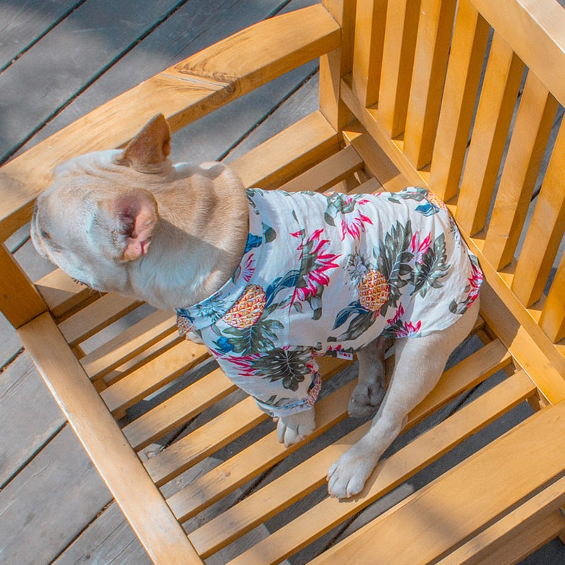 Small Dog Tropical Shirt for Stylish Summer Adventures