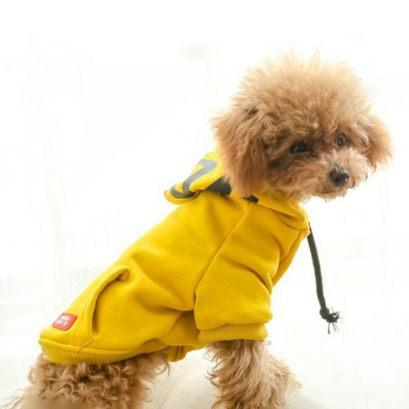 Small Dog Hoodie Coat for Warm, Stylish Outdoor Walks