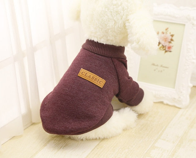 Small Dog Sweater for Warm, Cozy Winter Walks & Lounging