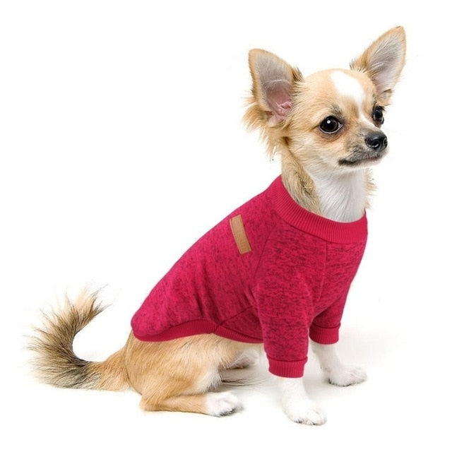 Small Dog Sweater for Warm, Cozy Winter Walks & Lounging