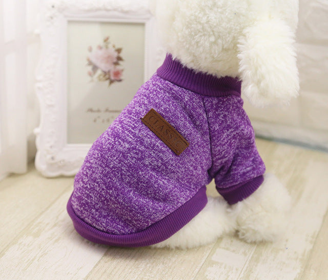 Small Dog Sweater for Warm, Cozy Winter Walks & Lounging