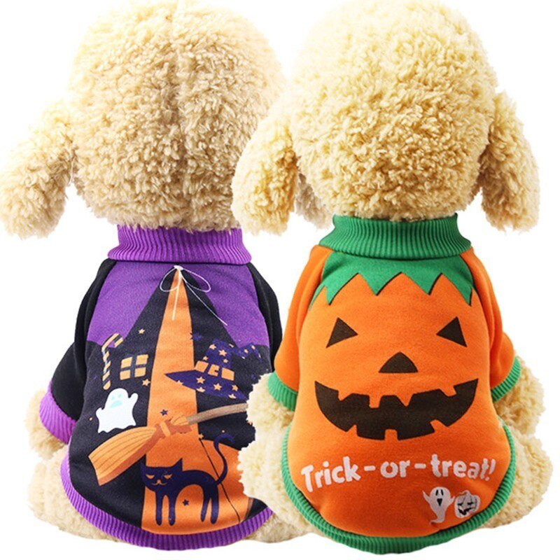 Dog Halloween Costumes for Festive Seasonal Style