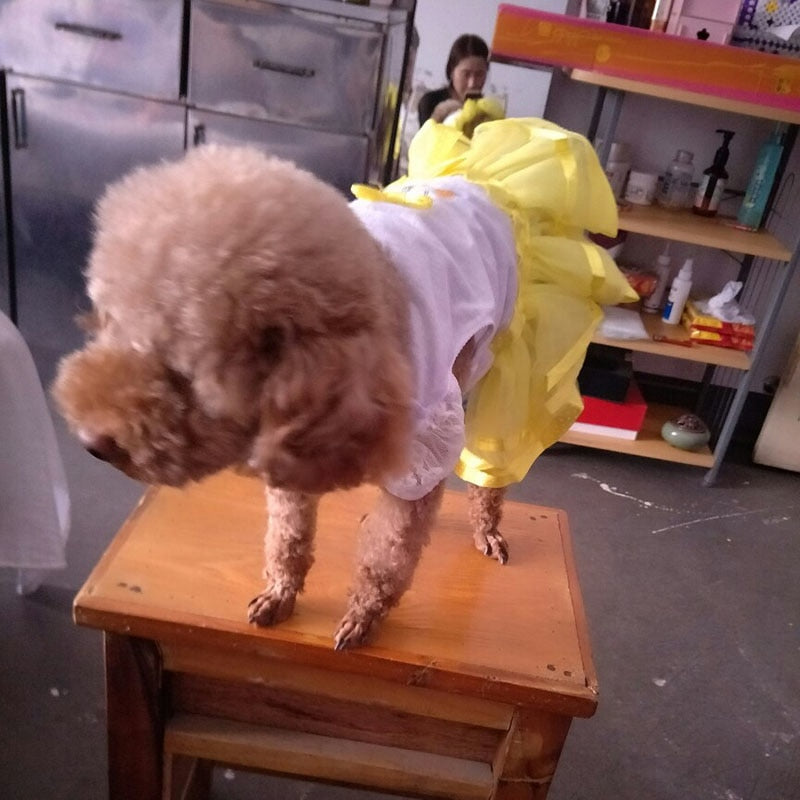 Dog Tutu Dress for Small Dogs, Princess Photo Outfit