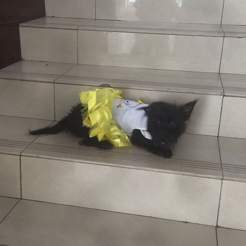 Dog Tutu Dress for Small Dogs, Princess Photo Outfit