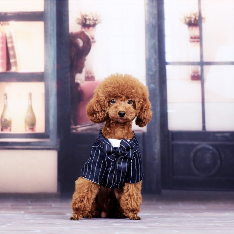 Small Dog Tuxedo Shirt With Bow Tie For Formal Photos