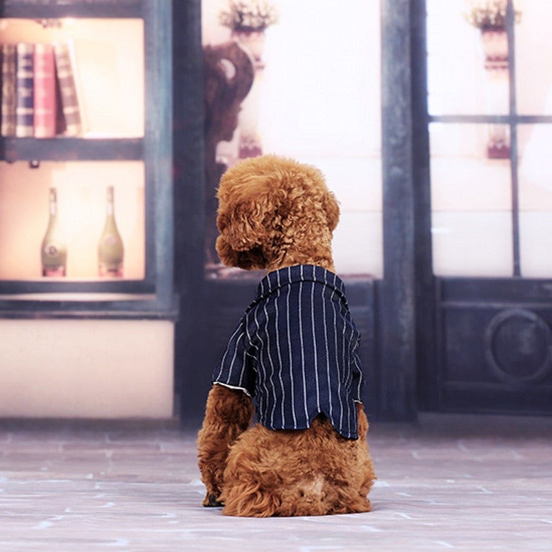 Small Dog Tuxedo Shirt With Bow Tie For Formal Photos