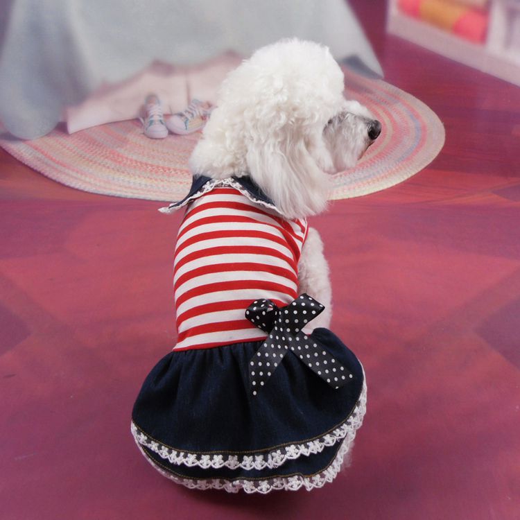 Dog Denim Skirt Dress for Summer Photos & Outings