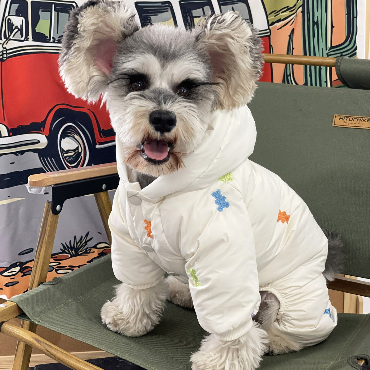 Dog Winter Coat: Full-Body Warmth for Small Dogs Outdoors