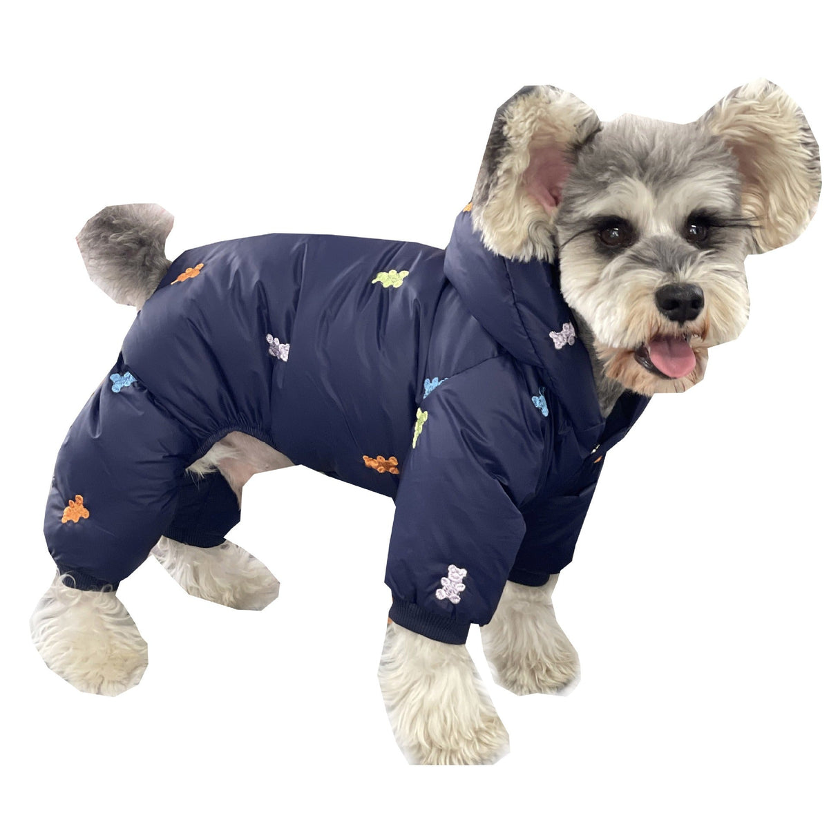 Dog Winter Coat: Full-Body Warmth for Small Dogs Outdoors