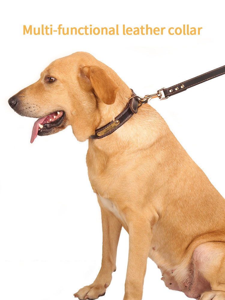 Personalized Leather Dog Collar for Safer Daily Walks