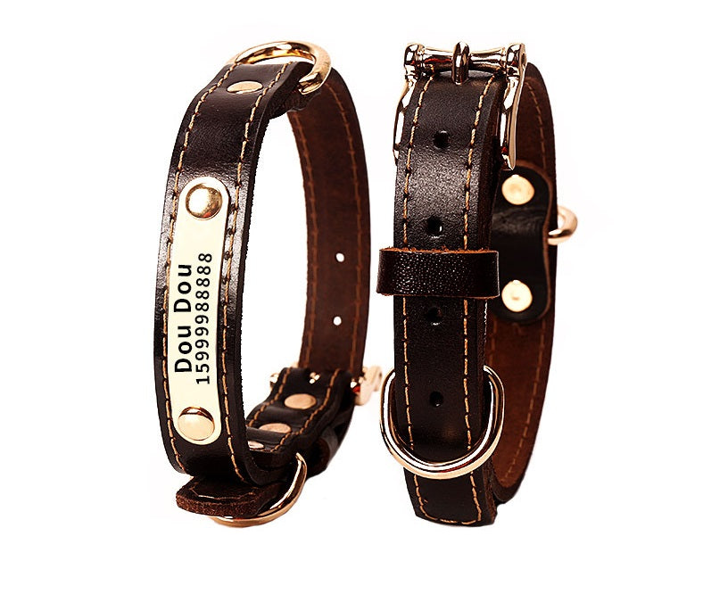 Personalized Leather Dog Collar for Safer Daily Walks